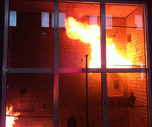 Противопожарные окна Ногинск